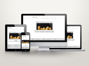 Web Solutions-responsive